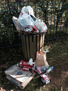 Overflowing litter bin in Bury Knowle Park